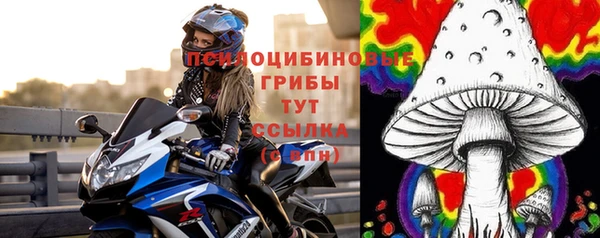 соль ск Арсеньев