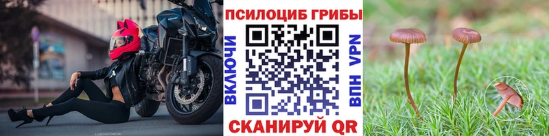 Галлюциногенные грибы прущие грибы сайты даркнета состав Краснодар